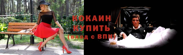 гидра Кострома