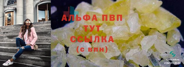 спиды Семилуки