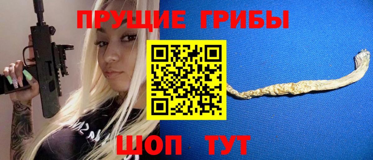Псилоцибиновые грибы мицелий Советск
