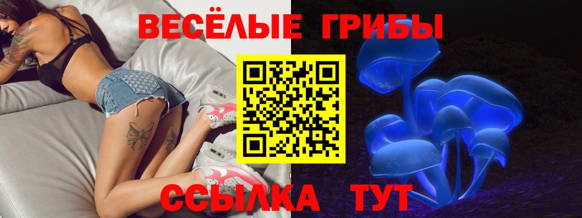 Галлюциногенные грибы прущие грибы  Вход с VPN  Советск 
